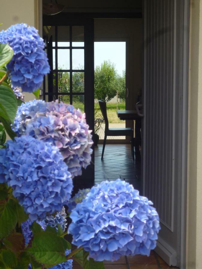 Chambres D'Hotes De Ty Guen Trédarzec エクステリア 写真